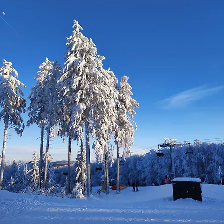 Finkeldei * Winterberg