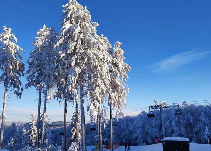 Finkeldei * Winterberg